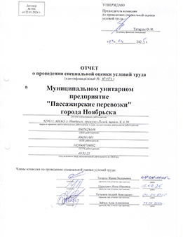 Отчет СОУТ N871971 от 04.04.2025г